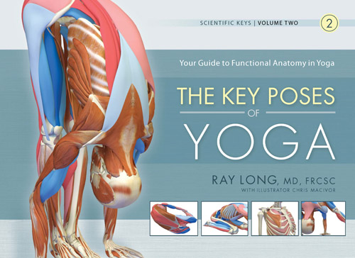 Comprehensive Guide to Yoga Anatomy and Physiology